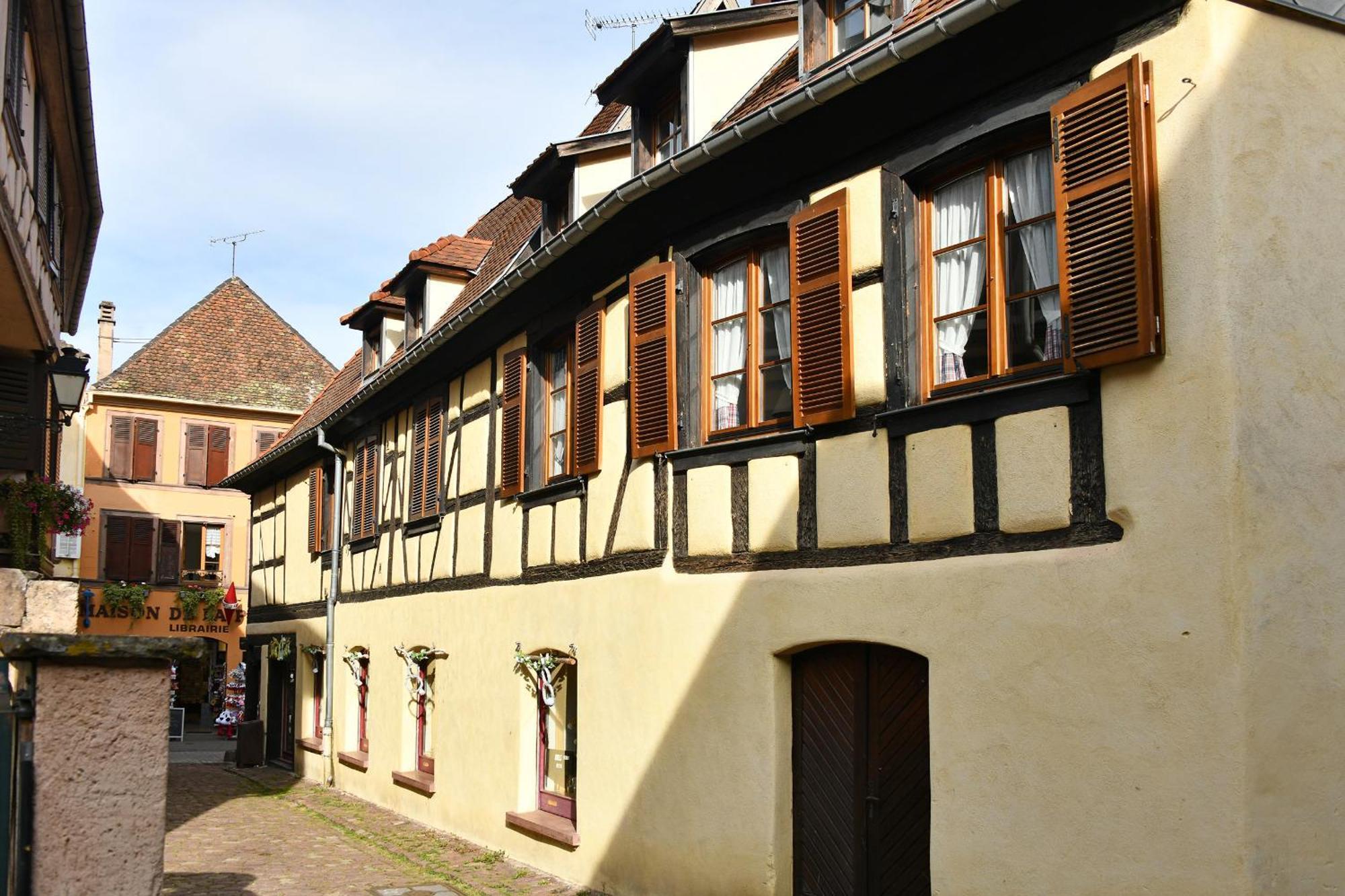 Au Nid D'Hirondelles Apartment Ribeauvillé Exterior photo